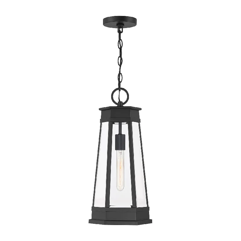 Track lighting for adding a touch of elegancePayne 1-Light Outdoor Hanging Lantern