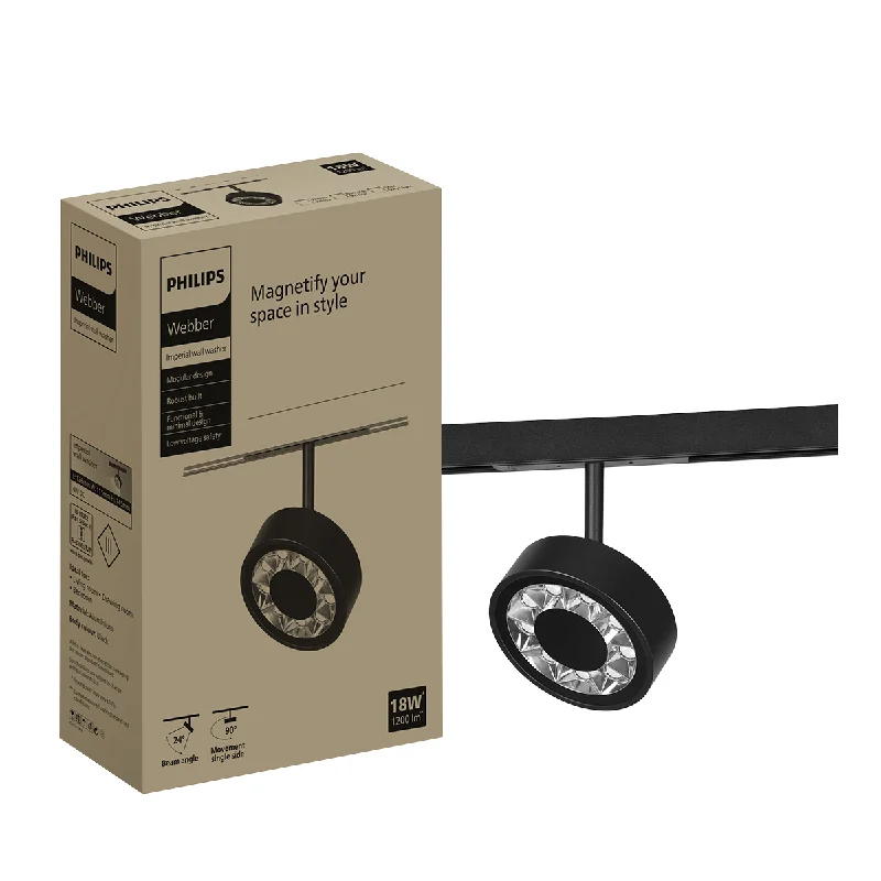 Track lighting for rental propertiesPhilips Webber Imperial Wall Washer