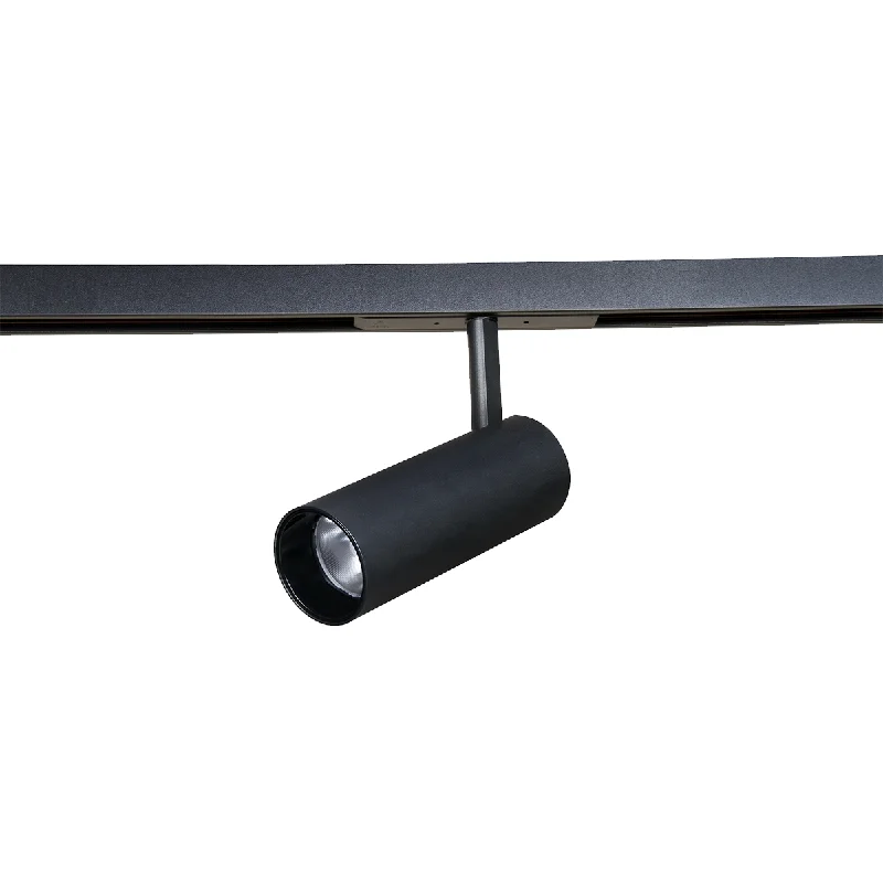 Track lighting for highlighting kitchen cabinetsPhilips Webber Track Spot
