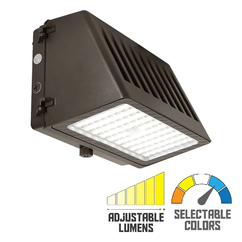 Industrial Lighting for Chemical PlantsLED Cutoff Wall Pack, 5250Lm, 20/30/35W, 30K/40K/50K, 120-347V