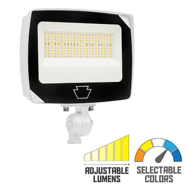 Industrial Area Lighting for Large Open SpacesKeystone LED Rectangular Floodlight, Power Select, Color Select, Photocell, Two Mounting Options