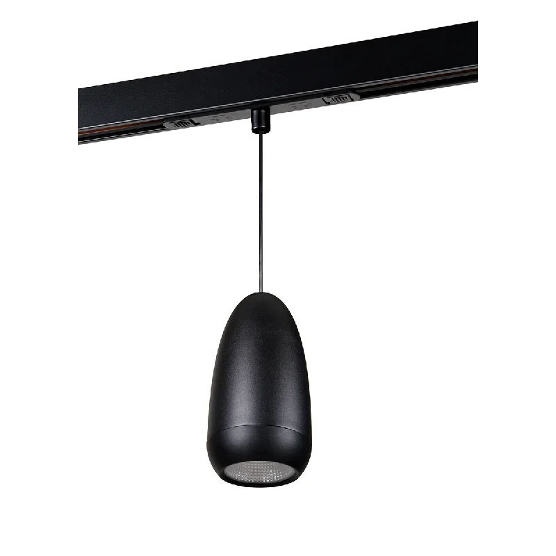 Track lighting for updating office lobbiesPhilips Webber Medallion Pendant light