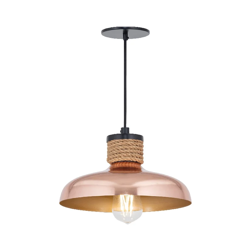 Track lighting with a sleek profileBingham Small Pendant