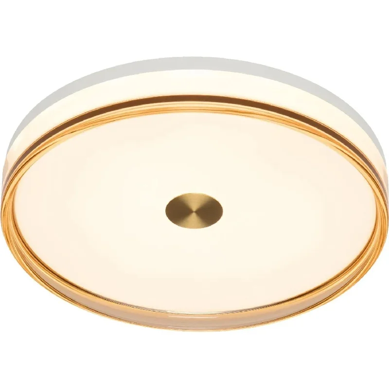Track lighting with adjustable armsLuna LED Flush Mount