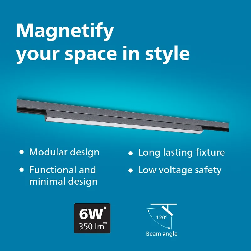 Track lighting for small apartmentsPhilips Webber Diffused Blade