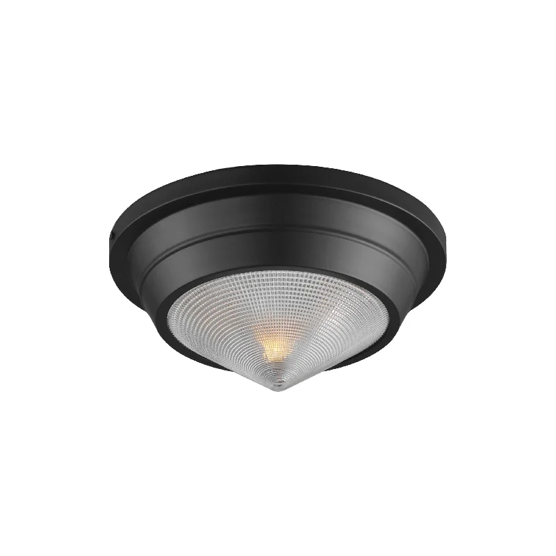 Track lighting with clear glass shadesHargreaves 1-Light Flush Mount
