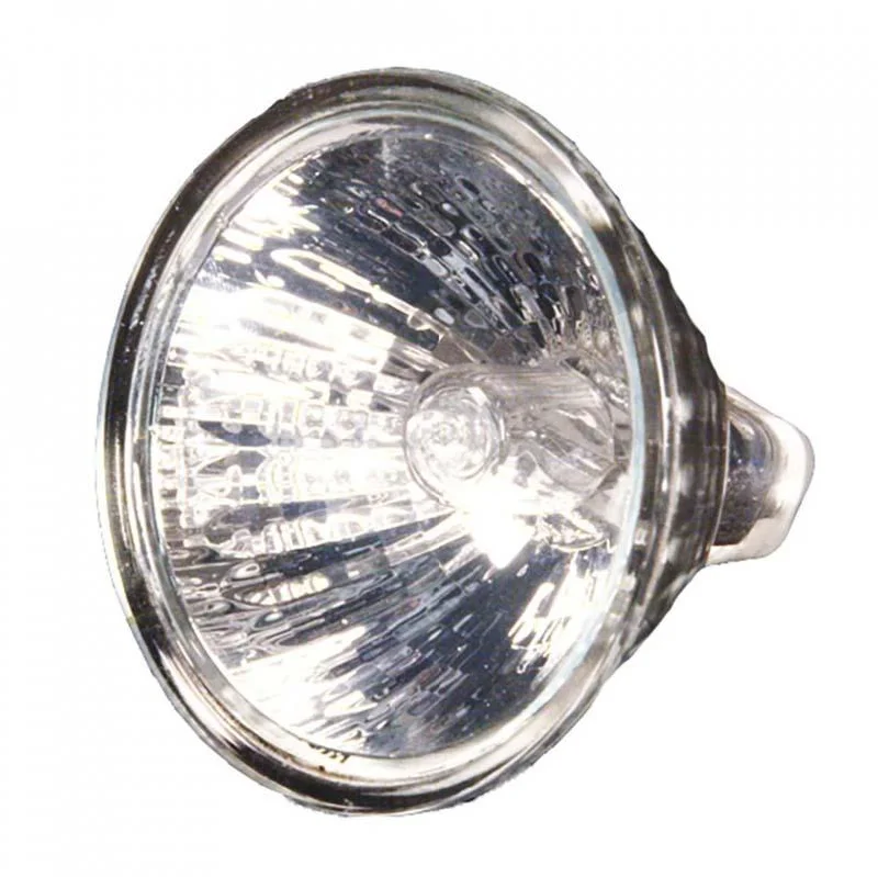 Track lighting with clear glass shadesMR-16 20W Halogen Lamps By Cast Lighting (Min Quantity 6)