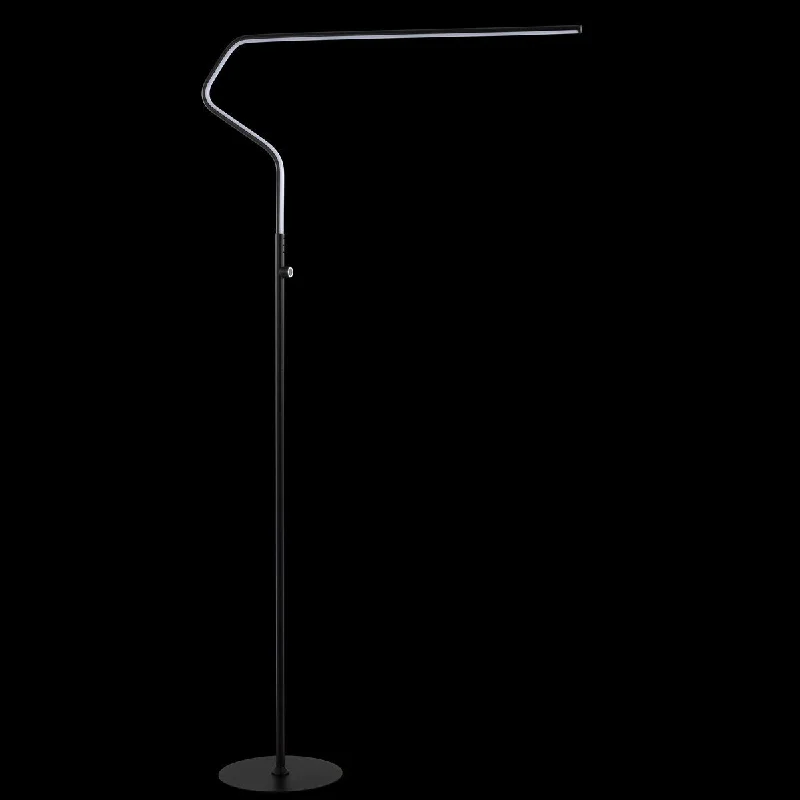 Adjustable Height Floor Lamp for Versatile Lighting NeedsAdjustable Height Floor Lamp for Versatile Lighting NeedsJulian 65.25" Integrated LED Metal Floor Lamp, Black by JONATHAN Y - 65.25" H x 33.5" W x 9.75" D